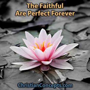 The Faithful Are Perfect Forever