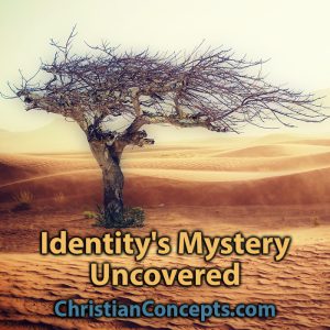 Identity's Mystery Uncovered
