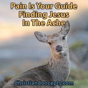 Pain Is Your Guide - Finding Jesus In The Ache