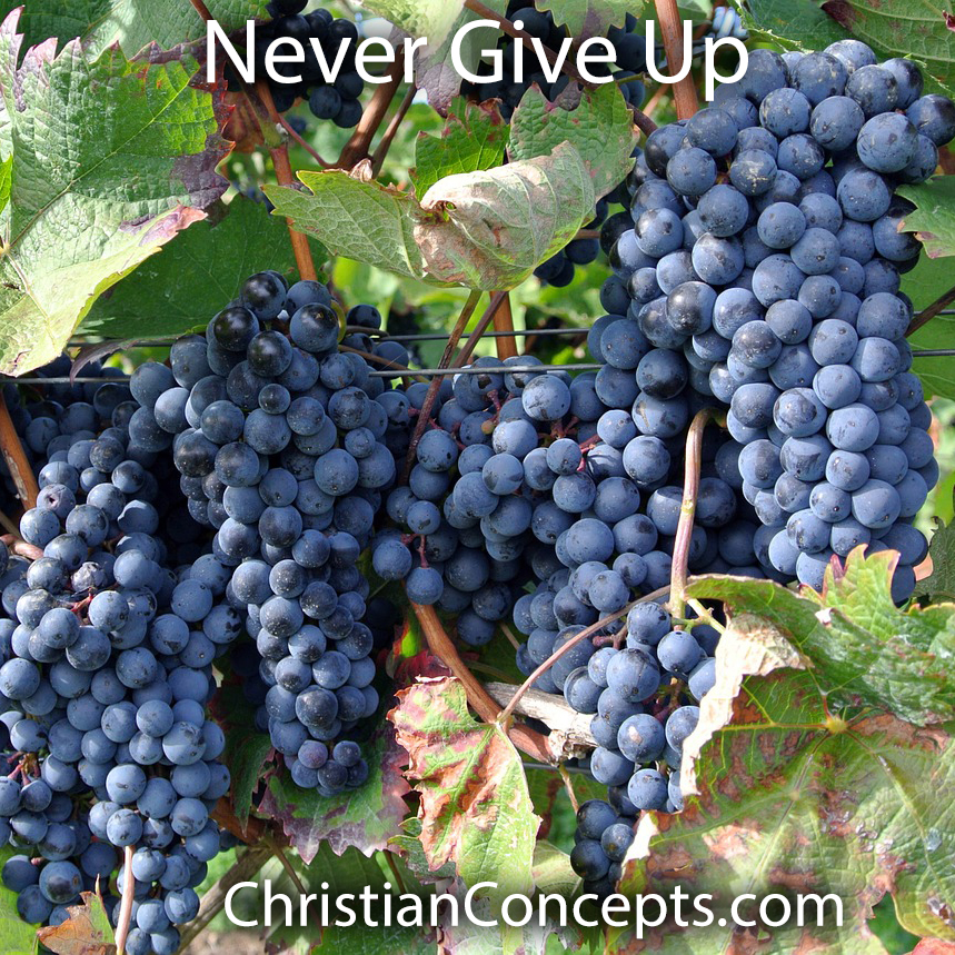 Never Give Up - Christian Concepts