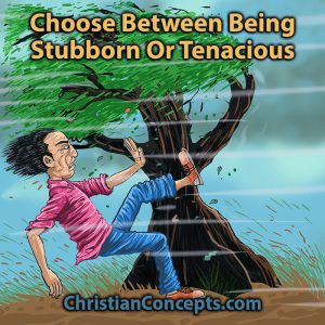 Choose Between Being Stubborn Or Tenacious