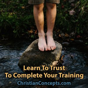 Learn To Trust To Complete Your Training