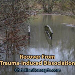 Recover From Trauma-Induced Dissociation