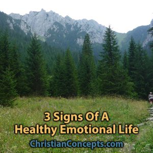 3 Signs Of A Healthy Emotional Life