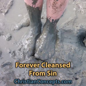 Forever Cleansed From Sin