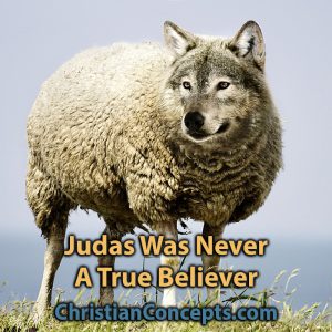 Judas Was Never A True Believer