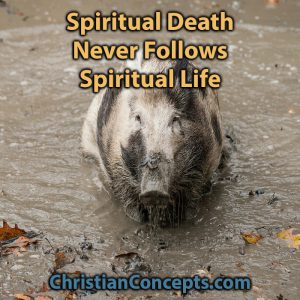 Spiritual Death Never Follows Spiritual Life
