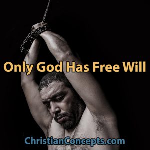 Only God Has Free Will