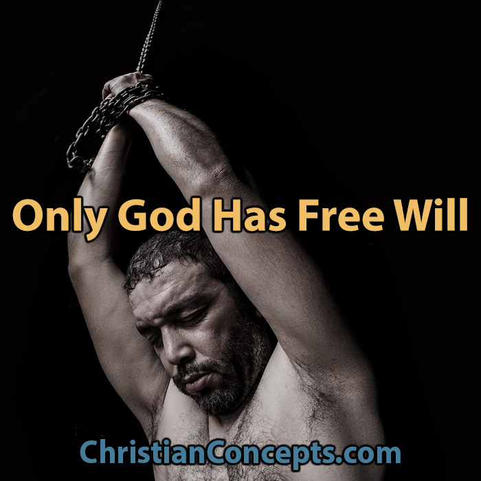 Only God Has Free Will